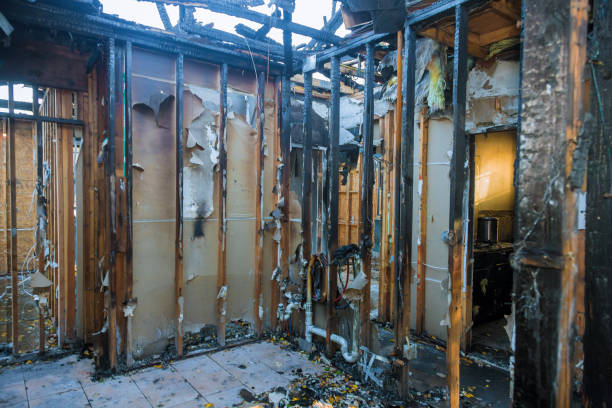 Professional Soot Cleanup technician working in Odenton, MD